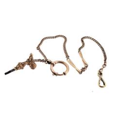 GF Cool finds