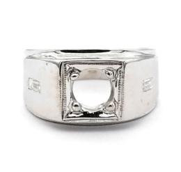 White Gold Men's Mountings