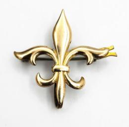 Gold Filled Pin
